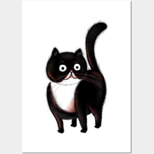 Little black cat Posters and Art